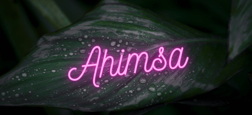 Ahimsa – Die Lehre der Gewaltlosigkeit und wie du sie in dein Leben integrieren kannst.